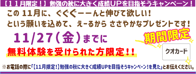 【11月限定！】勉強の秋に大きく成績UPを目指そうキャンペーン！この11月にぐぐぐーんと伸びてほしい！
という願いを込めてえーるからささやかなプレゼントです！
11月27日(金)までに
無料体験を受けられた方限定！
※お電話の際に「【11月限定！】勉強の秋に大きく成績UPを目指そうキャンペーン！を見た」とお伝えください。